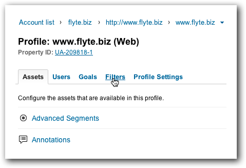 Google Analytic Filters